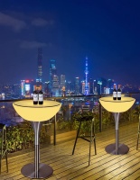 Комплект светящейся мебели Стол+2 стула V11